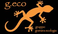 gecologo.jpg